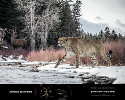 Giant cheetah (Acinonyx pardinensis)