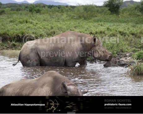 Aktautitan hippopotamopus