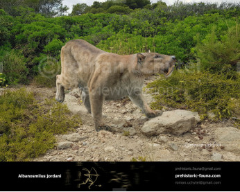 Albanosmilus Albanosmilus