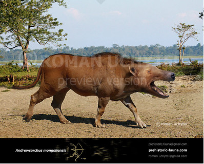 Andrewsarchus mongoliensis