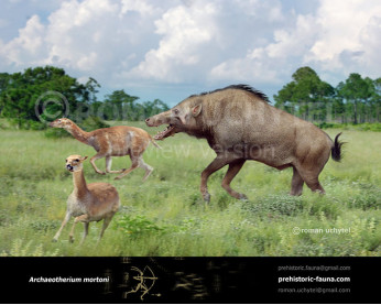 Archaeotherium