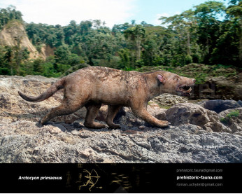 Arctocyon primaevus Arctocyon primaevus