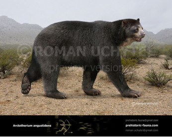 Arctotherium angustidens (South American short-faced bear)