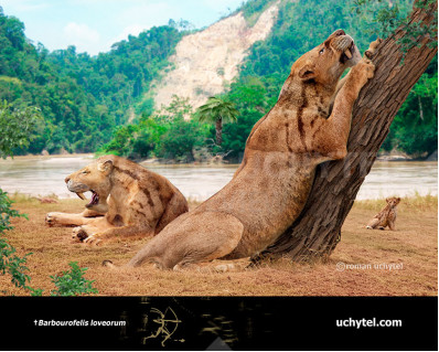 Barbourofelis loveorum