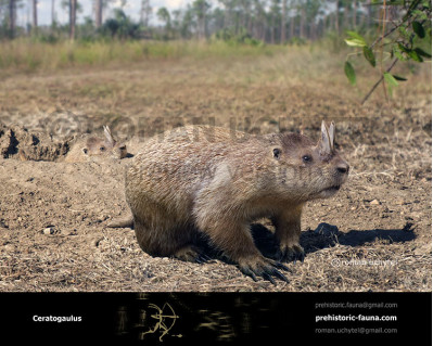 Horned gopher