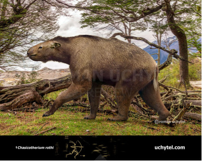 Chasicotherium