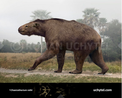 Chasicotherium