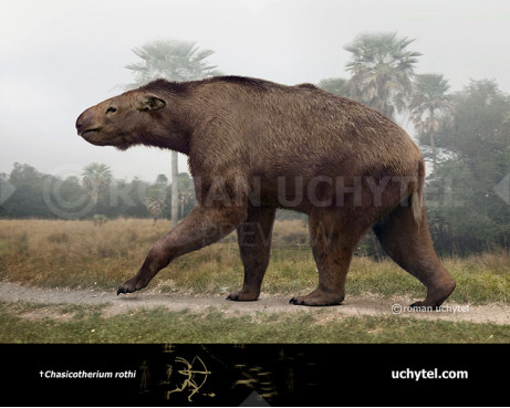 Chasicotherium