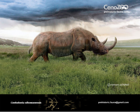 Nihewan woolly rhinoceros