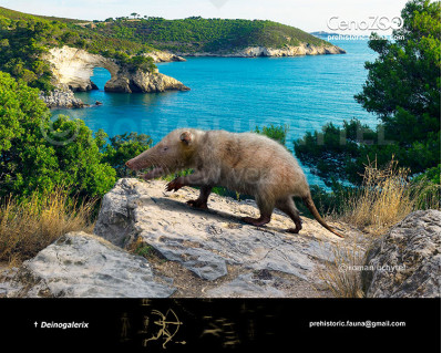 Deinogalerix (Gargano giant gymnure or Gargano giant moonrat)