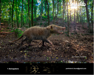 Deinogalerix (Gargano giant gymnure or Gargano giant moonrat)