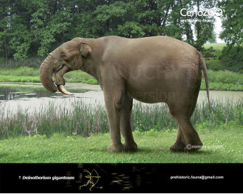 Deinotherium Deinotherium