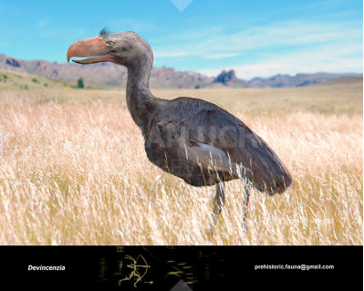 Devincenzia (Terror bird)