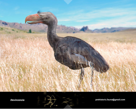 Devincenzia (Terror bird)