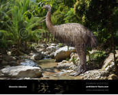 South Island Giant Moa (Dinornis robustus)