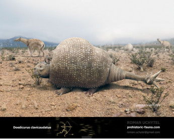 Doedicurus clavicaudatus Doedicurus clavicaudatus