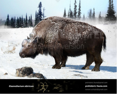 Elasmotherium