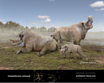 Embolotherium andrewsi Embolotherium andrewsi