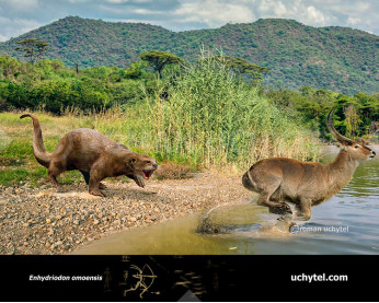 Enhydriodon omoensis (Giant African otter)