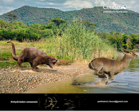 Enhydriodon omoensis (Giant African otter)