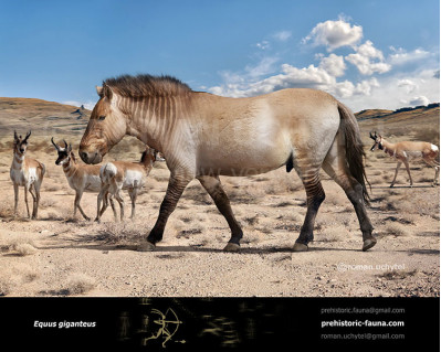 Equus giganteus