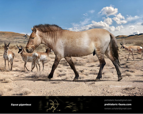 Equus giganteus (Giant horse)