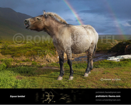 Yukon horse (Equus lambei)