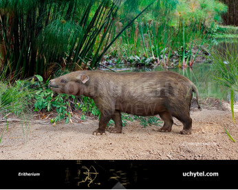 Eritherium Eritherium