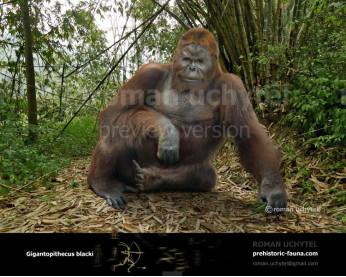 Gigantopithecus