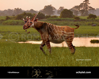 Giraffokeryx