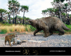 Glossotherium robustum