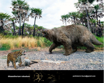 Glossotherium robustum