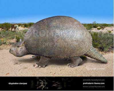 Glyptodon