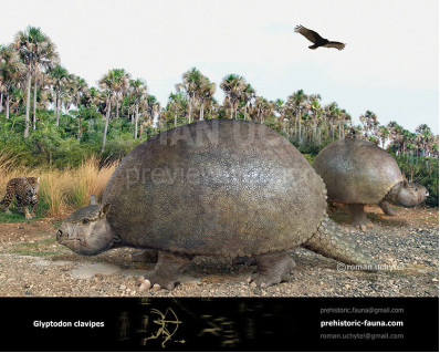 Glyptodon