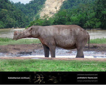 Gobiatherium mirificum Gobiatherium mirificum