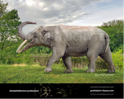 Gomphotherium