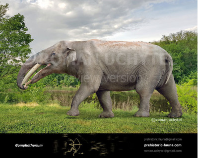 Gomphotherium