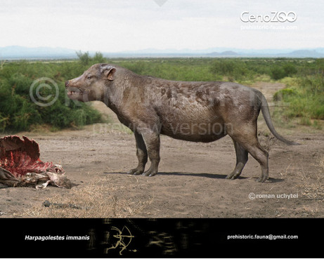 Harpagolestes immanis