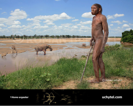 Людина працююча