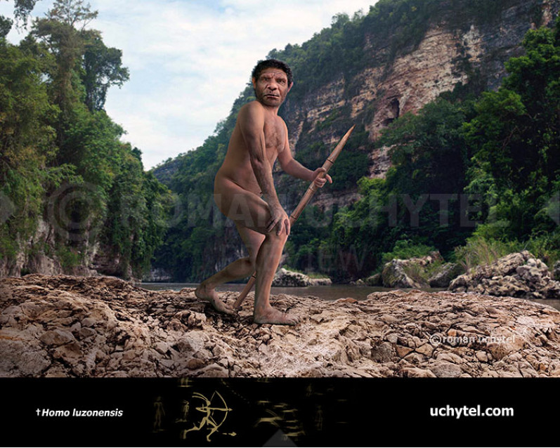 Людина з Кальяо (Homo luzonensis) Людина з Кальяо (Homo luzonensis)