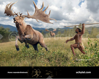 Homo neanderthalensis and Megaloceros giganteus (Irish elk)