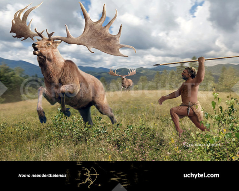 Homo neanderthalensis and Megaloceros giganteus (Irish elk) Homo neanderthalensis and Megaloceros giganteus (Irish elk)