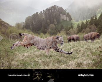 Homotherium davitasvilii