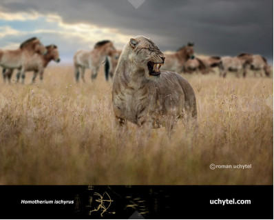 Homotherium serum