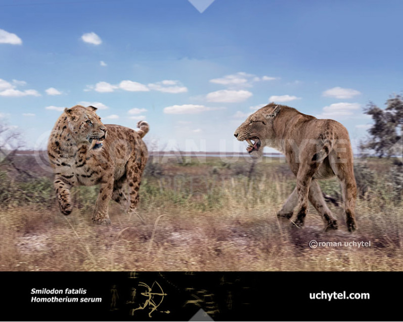 Homotherium serum Homotherium serum