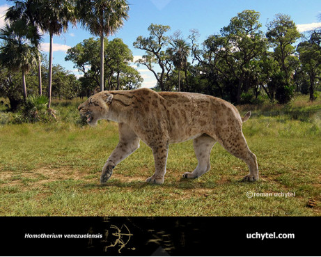 Homotherium venezuelensis