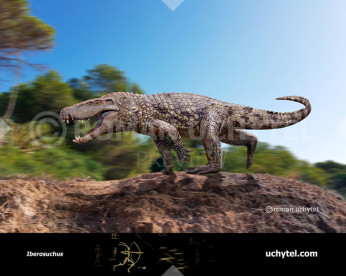 Iberosuchus
