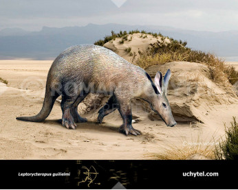 Leptorycteropus