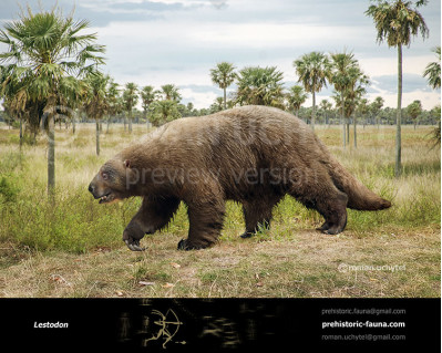 Lestodon