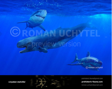 Eshak va cums qarshi ishqalab